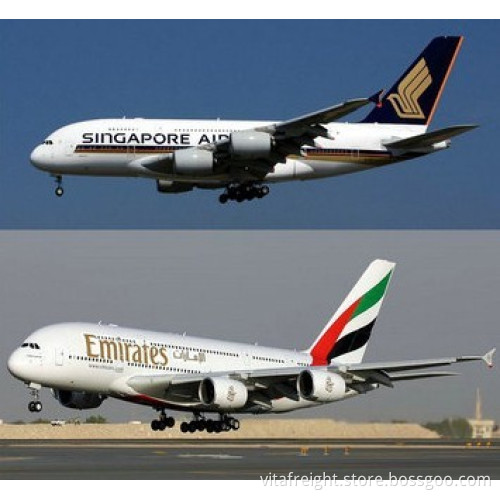 Lowest Express Service /Courier Service/ Courier Freight From Shenzhen to Worldwide